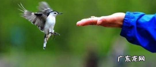推荐20种给心理减压的方法