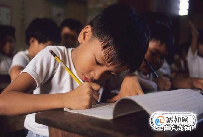 幼儿教育心得——幼儿教育不可忽视