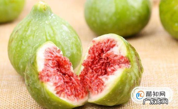 无花果新品种介绍大全