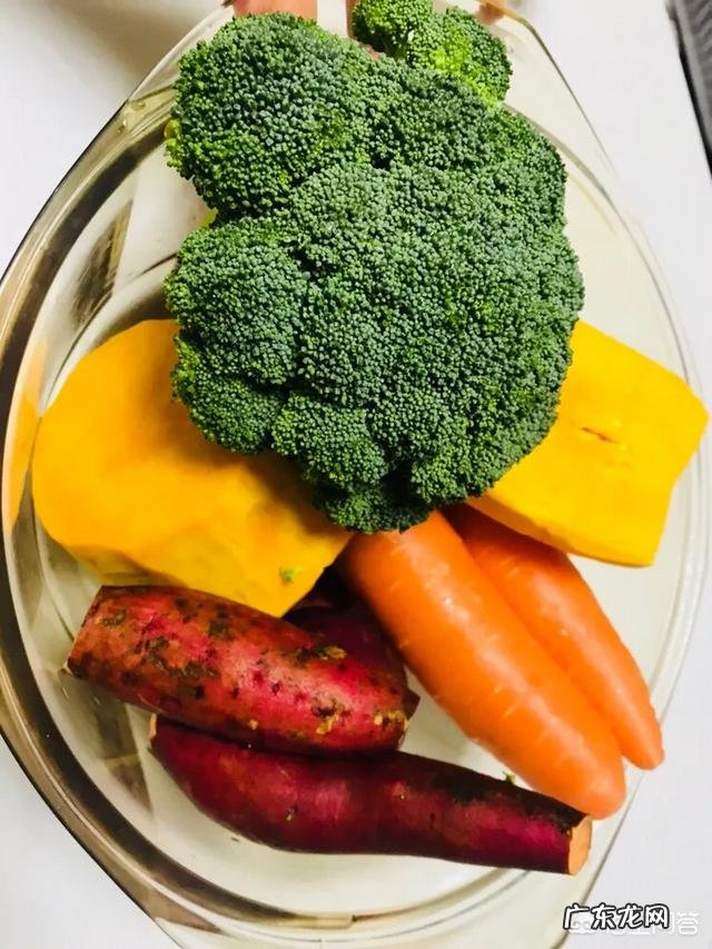 请问养狗狗的朋友,泰迪吃什么东西能代替狗粮