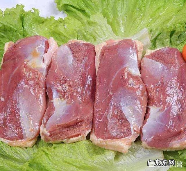 请问养狗狗的朋友,泰迪吃什么东西能代替狗粮