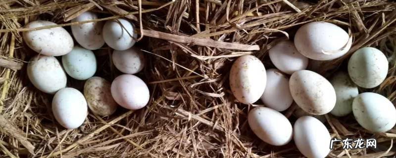 熟鸭蛋放冰箱能放几天,熟鸭蛋在冰箱能放几天