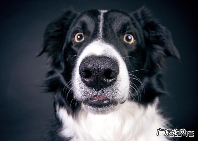 患了癌症后会有特殊气味吗