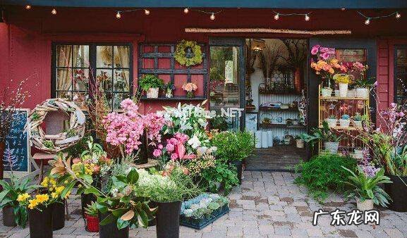 花店不开了花继续开是什么意思