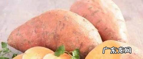 紫薯和红薯哪个更适合减肥适合吃