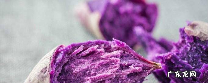 紫薯和红薯哪个更适合减肥适合吃