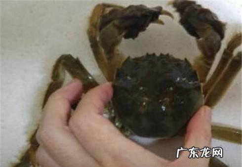 教你怎样绑螃蟹