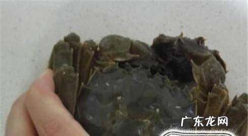 教你怎样绑螃蟹