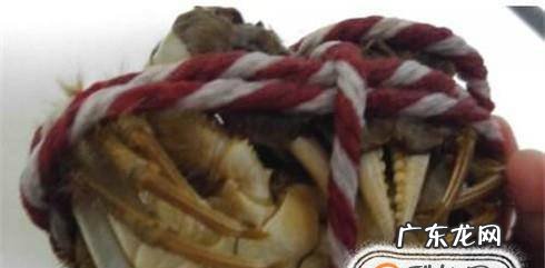 教你怎样绑螃蟹