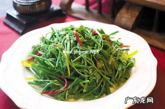 云龙菜图片是什么样子吃这个菜对身体有那些好处