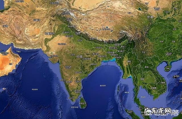 为什么印度这么多野生猫科动物