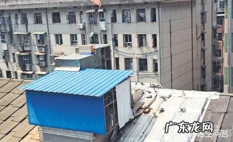 养鸽合法,但鸽棚违建,如鸽子无落处乱飞怎么办
