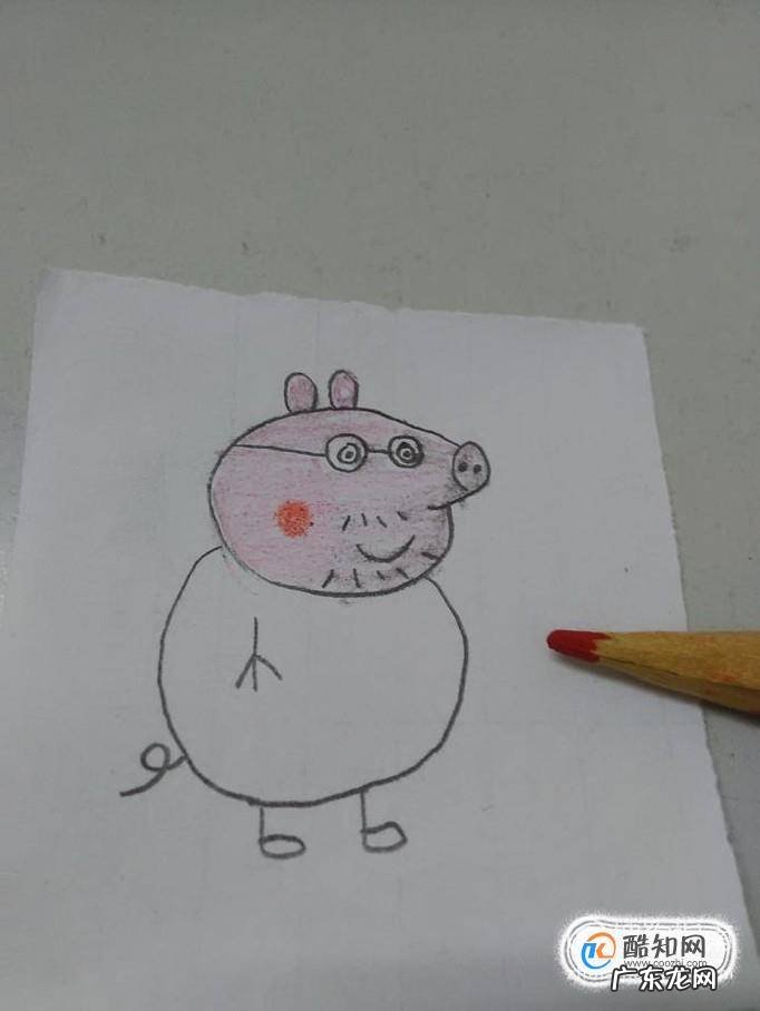 猪爸爸的简易画法