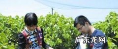 约会除了吃饭看电影还能干什么