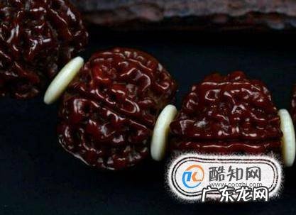 金刚菩提的好坏看这四个地方就够了