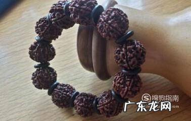 金刚菩提的好坏看这四个地方就够了