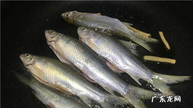 酥脆小鱼仔的家常做法