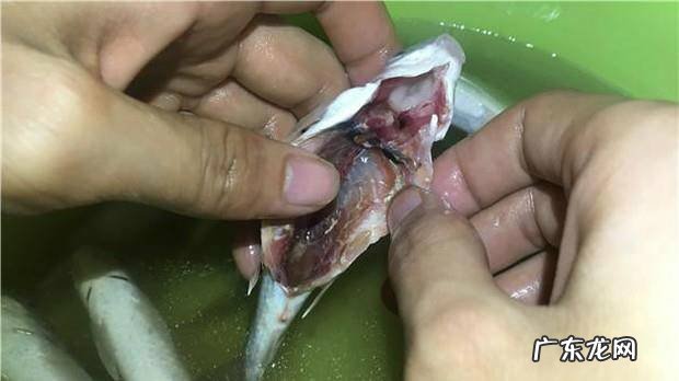 酥脆小鱼仔的家常做法