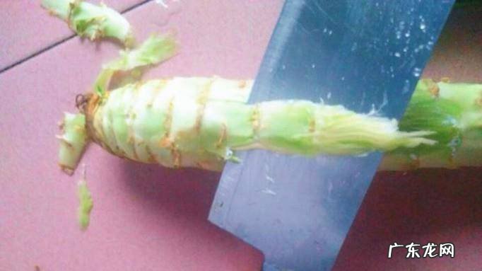 怎么做营养美味的莴苣炒肉健康莴苣家常做法