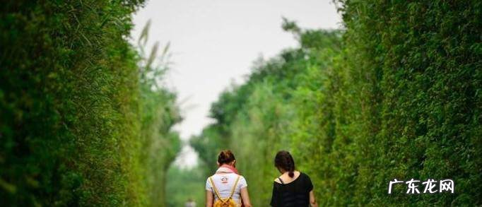 在什么时候表白最合适