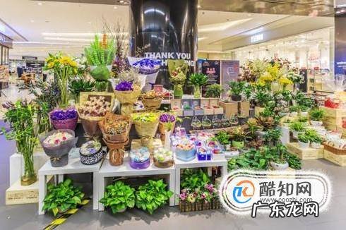 如何最快知道花代表的意思