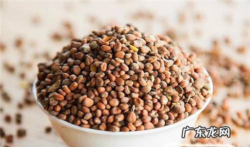 如何学会种萝卜