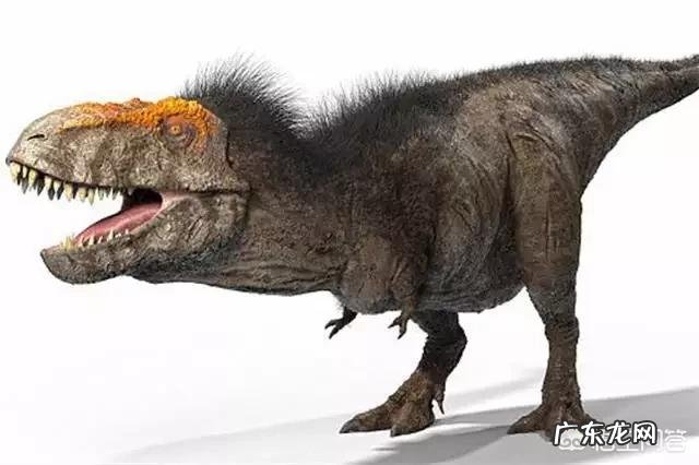 假如大熊猫和恐龙一样已经灭绝了的话,后人能不能通过化石还原出大熊猫黑白分明的样子呢