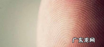 教你怎么识别手指纹路箕斗纹及指纹含义