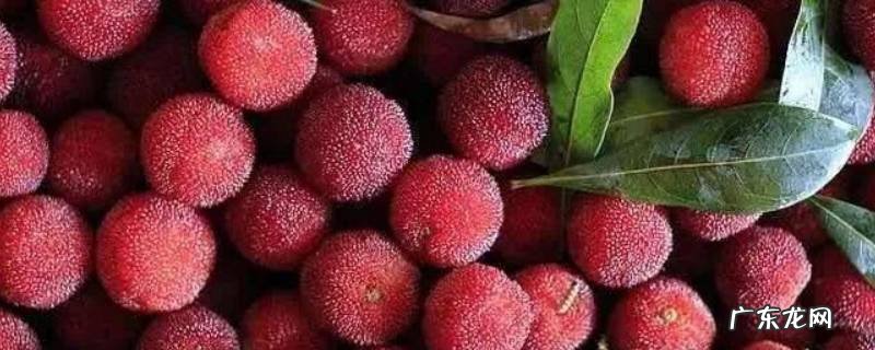 杨梅怎么洗,泡酒的杨梅怎么洗