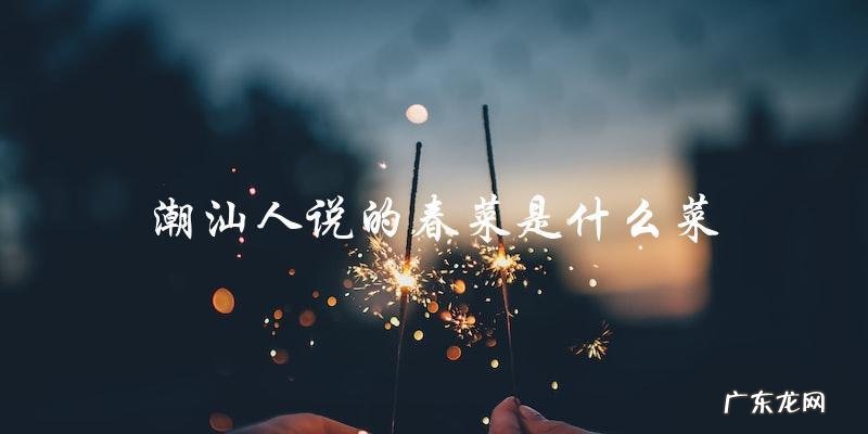 潮汕人说的春菜是什么菜