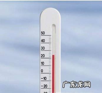 口红吊兰的养殖方法和注意事项