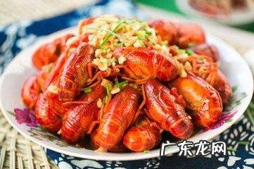 国内什么物种泛滥