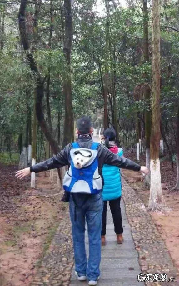 你是带上你家的狗狗自驾游吗