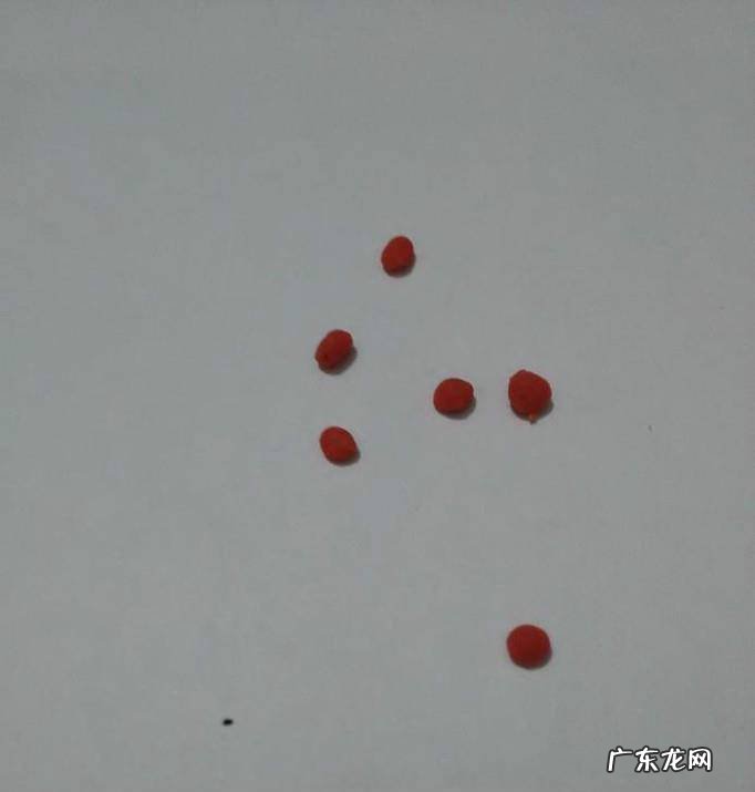 用彩泥制作长颈鹿