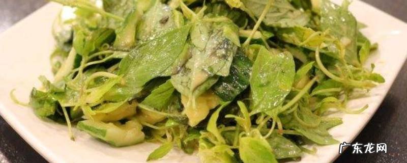 黄瓜荆芥怎么调,荆芥黄瓜怎么凉拌