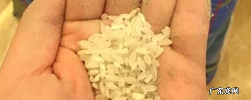 米发霉了怎么办,能吃吗,米发霉了还可以吃吗?