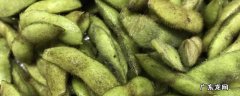 毛豆和黄豆的区别是什么,黄豆跟毛豆有什么区别