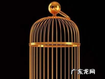 第一次见对方家长送什么礼物能留个好印象