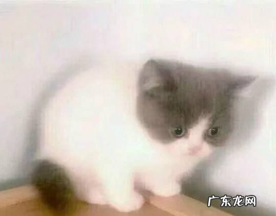 求一些撩人的土味情话呀