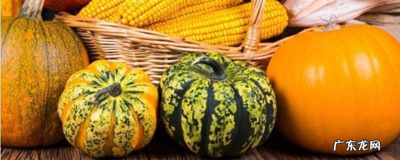 南瓜糖分高吗,板栗南瓜糖分高吗