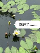 w in 11亮度如何调节？教你一招,轻松搞定!