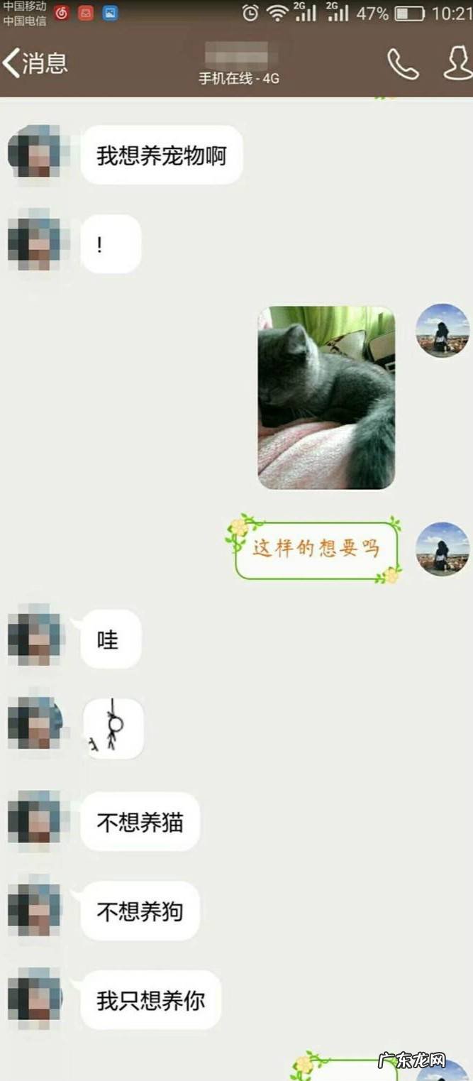 七夕节怎么表白一段代码告诉你