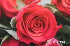 520送巧克力贺卡怎么写 520送巧克力什么意义