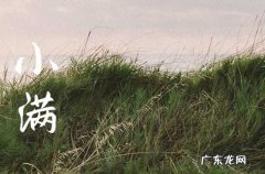 小满节气优秀治愈文案90句