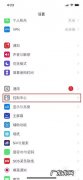 iphone录屏怎么录入声音？iphone录屏声音录入教程