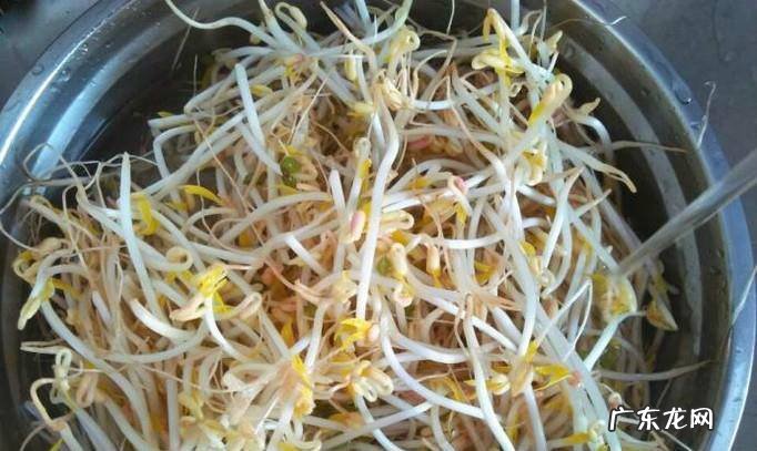 营养美味腊肠炒豆芽怎么做