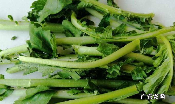 怎样做蒜炒蒸萝卜叶子蒜香浓郁超好吃