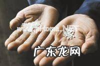 塑料大米是真的吗