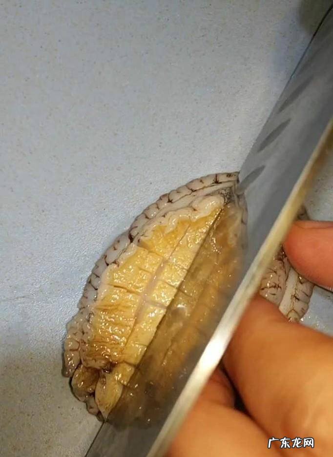 如何做鲍鱼才好吃呢