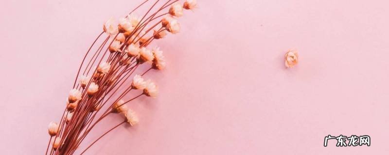 干花发霉了该怎么拯救,晒干花发霉了怎么办